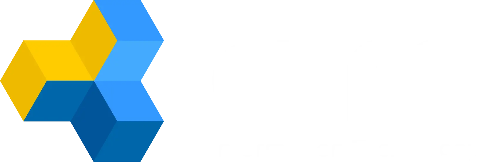ctm Information Technology